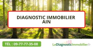 Diagnostic Immobilier à Bourg en Bresse dans l’Ain (01)