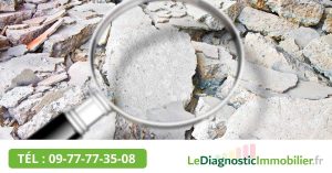 A quoi sert un diagnostic termites ?
